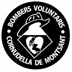 logo VOLUNTARIS